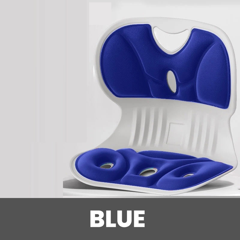 Ergonomic Memory Foam Back & Lumbar Support Cushion for Chair